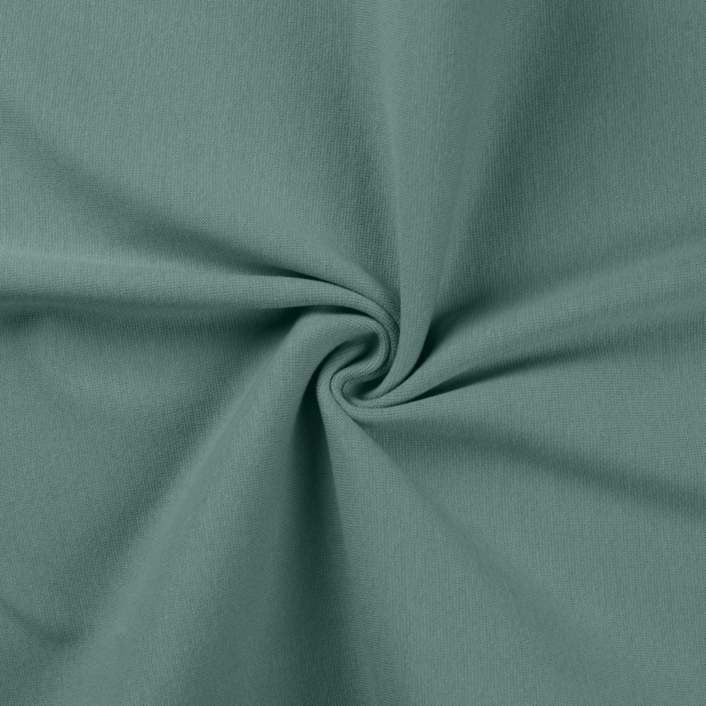 Coast edge jersey fabric - gray green