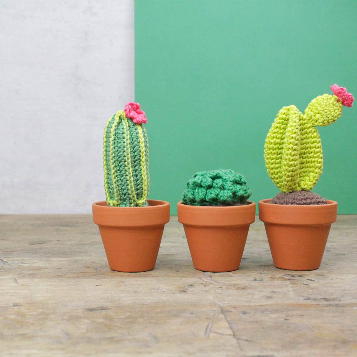 Crochet kit - Cactus