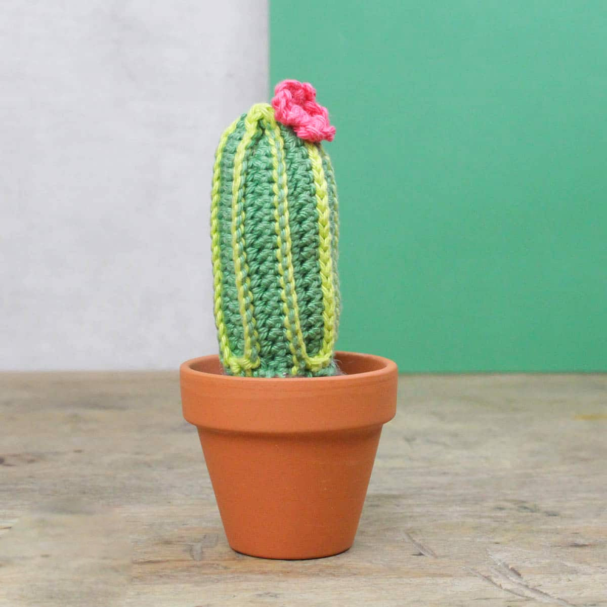 Crochet kit - Cactus