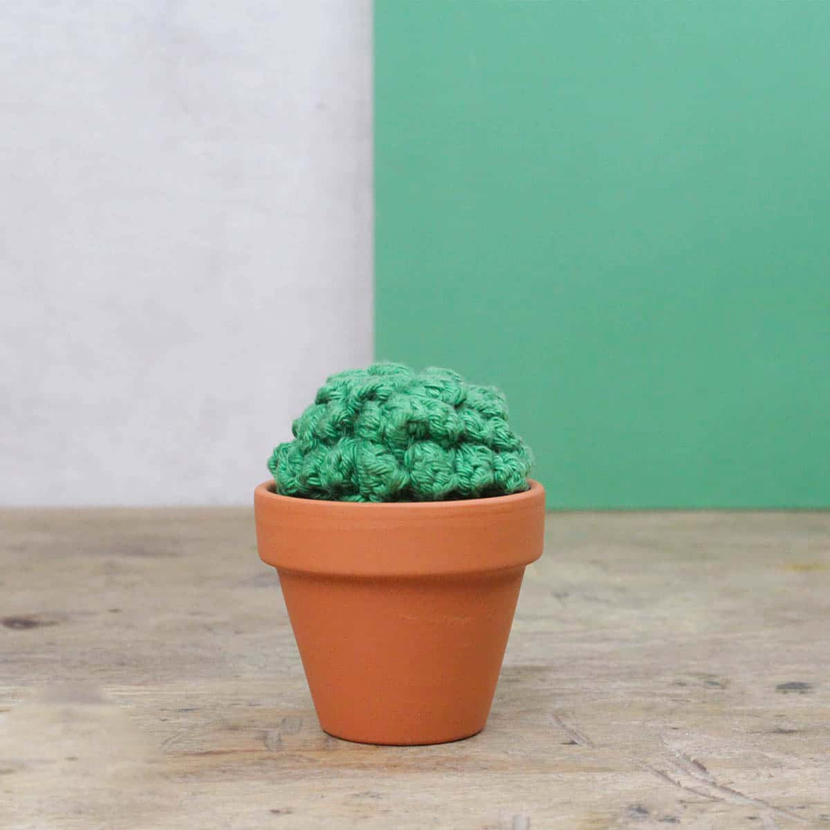 Crochet kit - Cactus