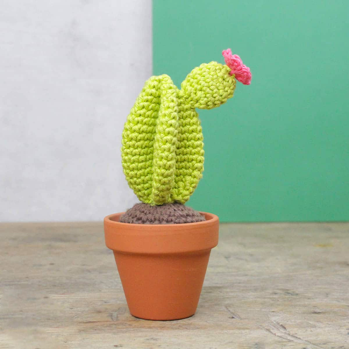 Crochet kit - Cactus