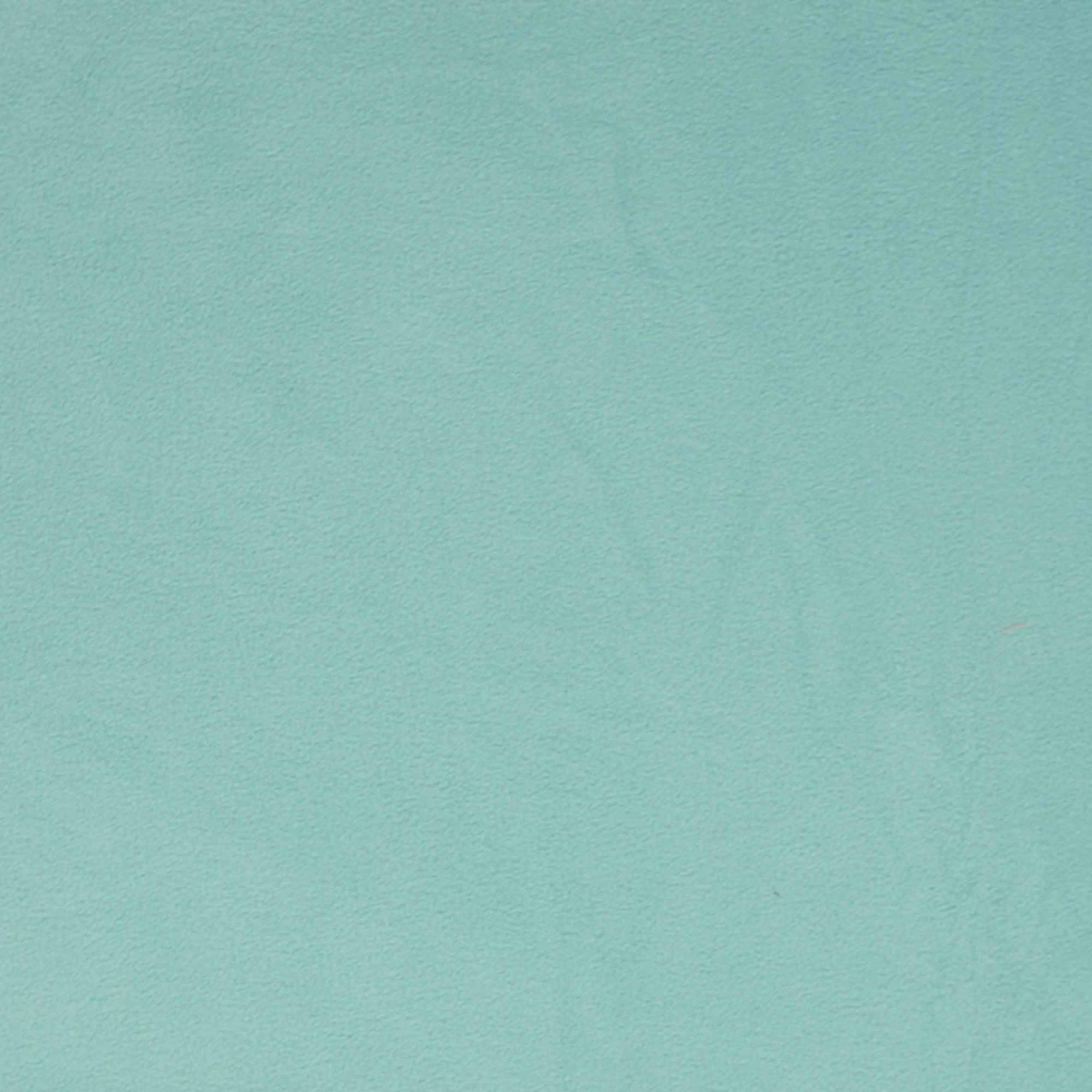 Deluxe micro polar fabric - mint green