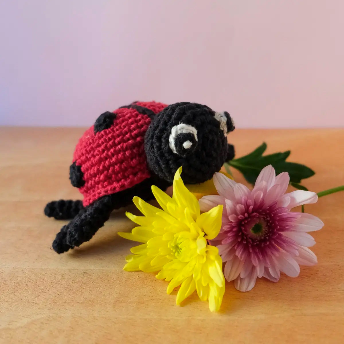 Kit crochet - Daisy la coccinelle