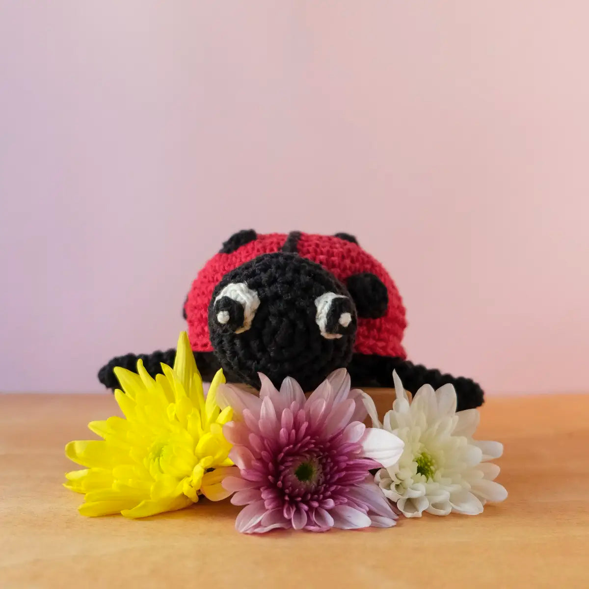 Kit crochet - Daisy la coccinelle