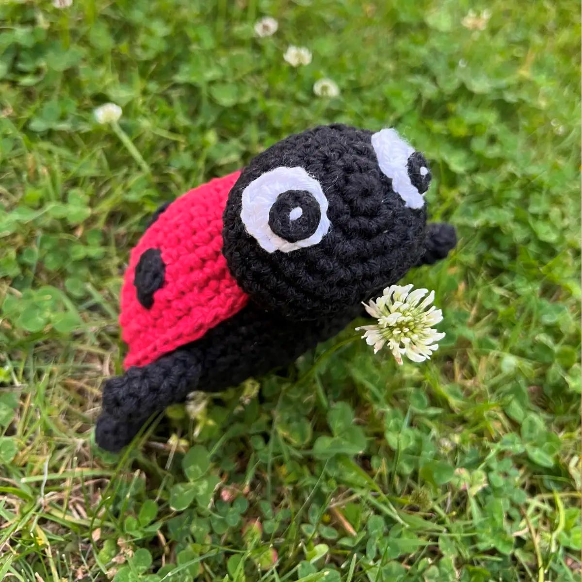 Kit crochet - Daisy la coccinelle