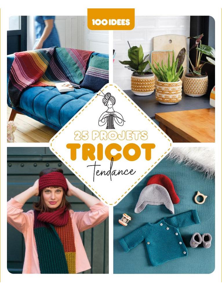 Livre 25 projets tricot tendance