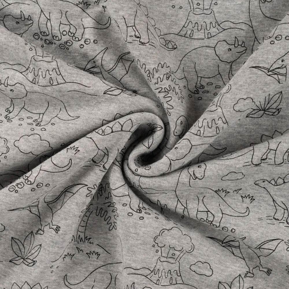 Molleton sweatshirt fabric - Dinosaurs