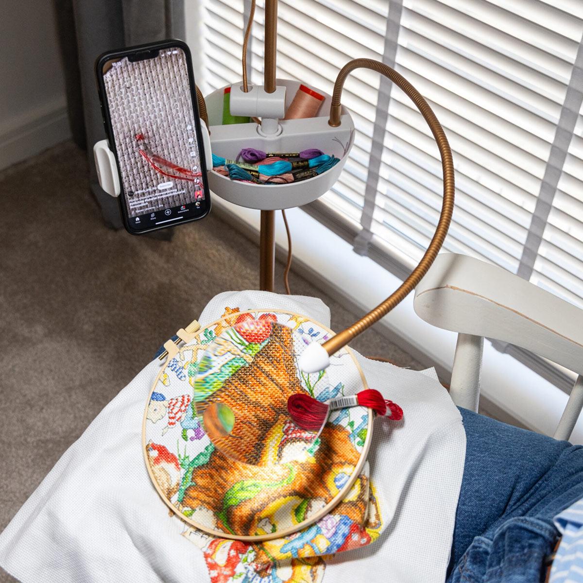 Surgery lamp with magnifying magnifying glass, tray and phone pliers